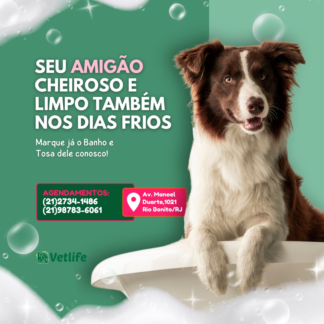 banho e tosa cachorro Vetlife