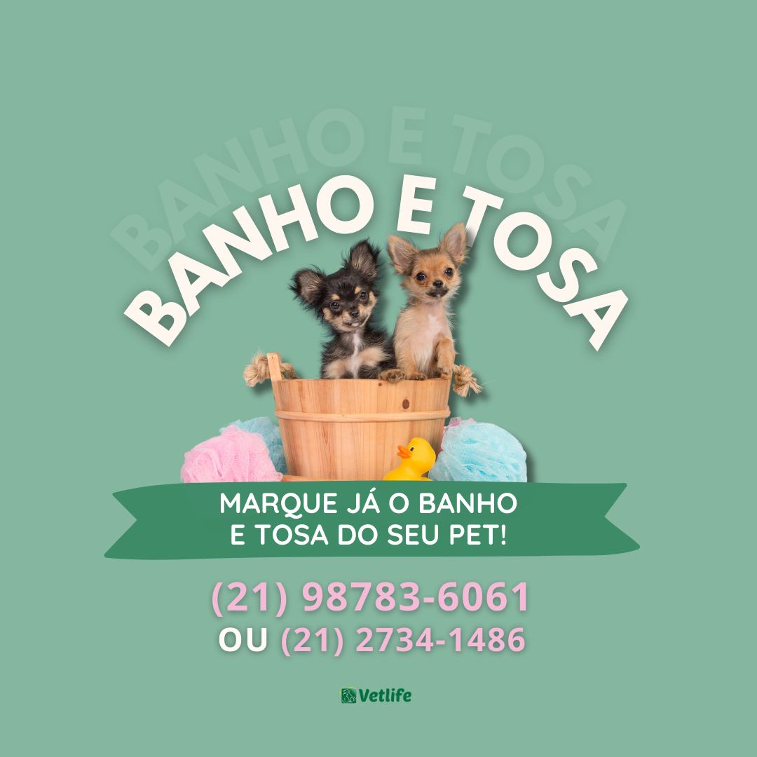 banho e tosa pets Vetlife