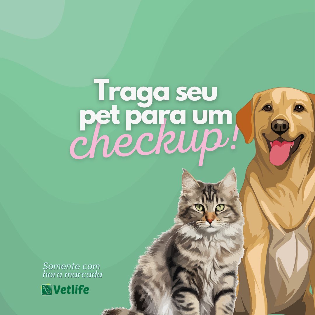 atendimento veterinário