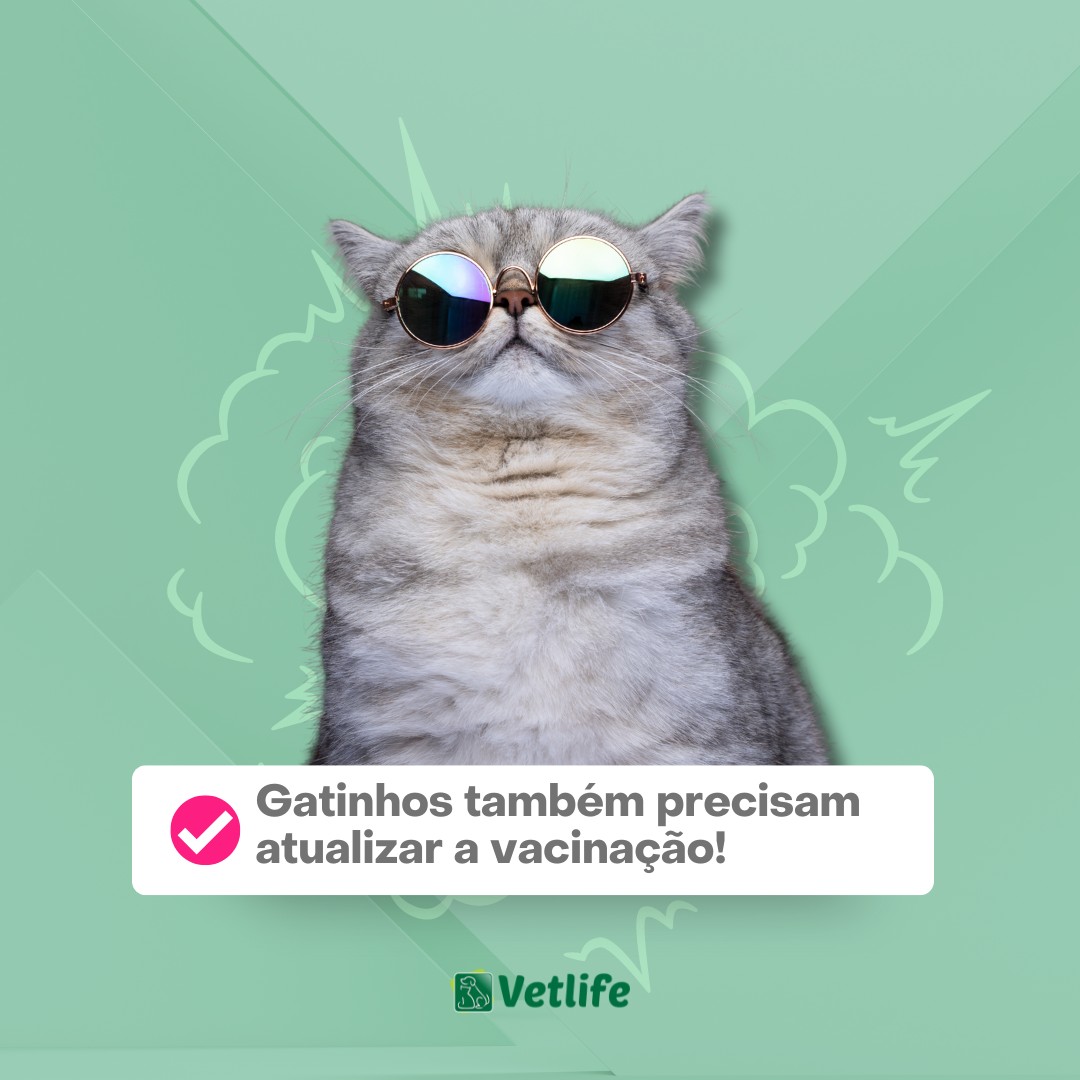 consulta veterinária